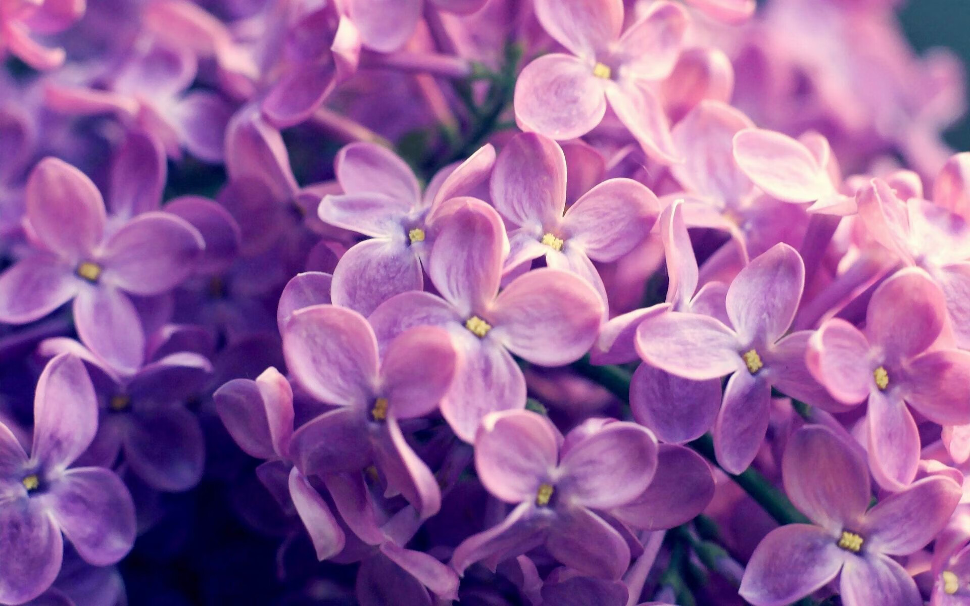 爱游戏-F1赛事中最激动人心的十个瞬间，f1最精彩的一场比赛