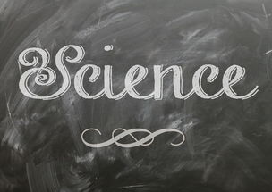 爱游戏娱乐平台-麦考领袖风范：全黑队胜利的灵魂人物，麦考3个总冠军